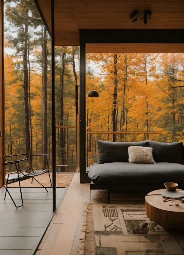 Wood, Couch, Interior Design, Shade, Architecture, Building