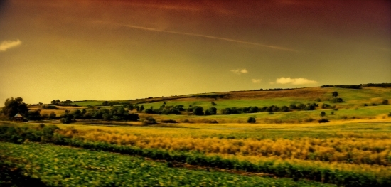 Art Academy, Cloud, Sky, Plant, Natural Landscape, Afterglow