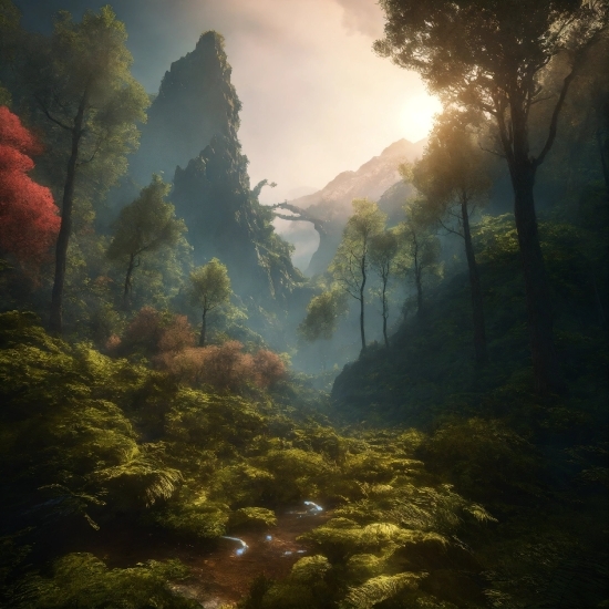 Atmosphere, Plant, Mountain, Ecoregion, Light, Tree