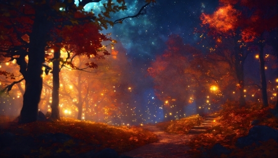 Atmosphere, Tree, Fire, Sky, Flame, Plant