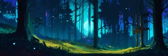Becoming Content Creator, Atmosphere, Plant, Natural Landscape, Terrestrial Plant, Tree