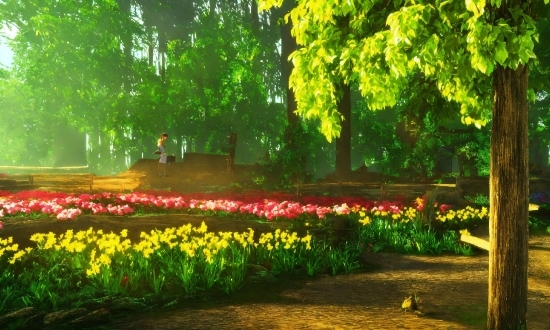 Best Laptop For Designers, Plant, Flower, Green, Leaf, Natural Landscape