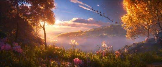 Best Raw Editor, Cloud, Sky, Plant, Flower, Atmosphere