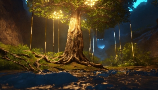 Best Way To Make Animated Videos, Plant, Atmosphere, Street Light, Natural Landscape, World