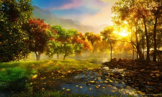 Best Website For Hd Images, Cloud, Plant, Sky, Natural Landscape, Leaf