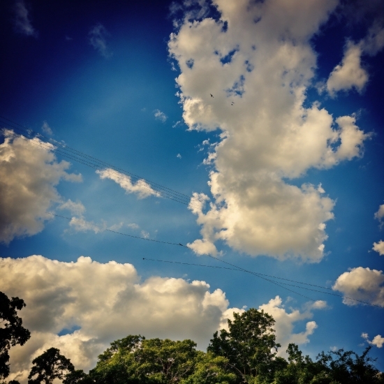 Cloud, Sky, Atmosphere, Azure, Natural Landscape, Tree