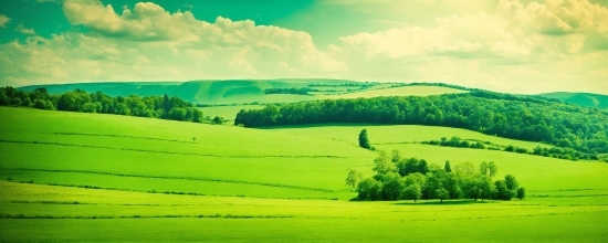 Cloud, Sky, Green, Plant, Natural Landscape, Sunlight