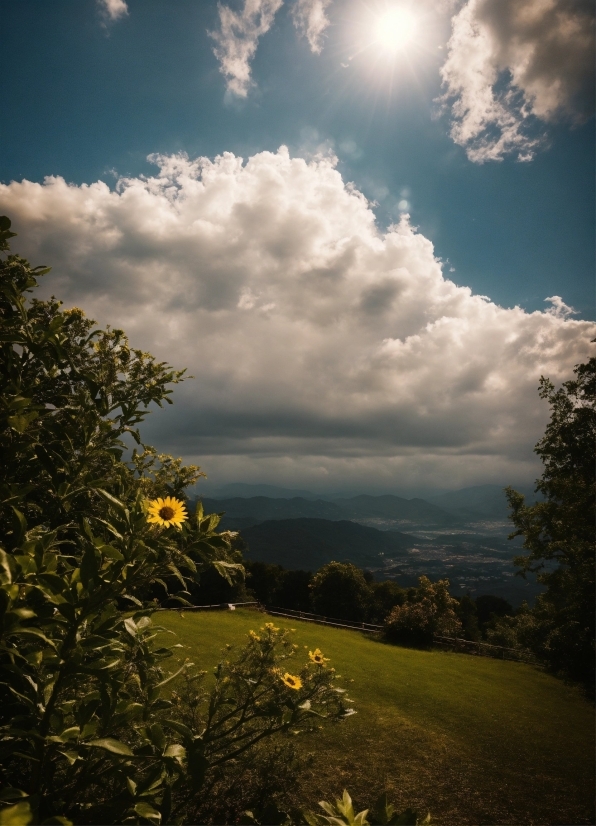 Cloud, Sky, Plant, Daytime, Ecoregion, Nature