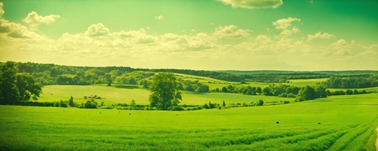 Cloud, Sky, Plant, Green, Natural Landscape, Tree