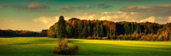 Cloud, Sky, Plant, Natural Landscape, Tree, Golf