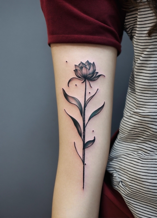 Flower, Plant, Leg, Shorts, Human Body, Petal