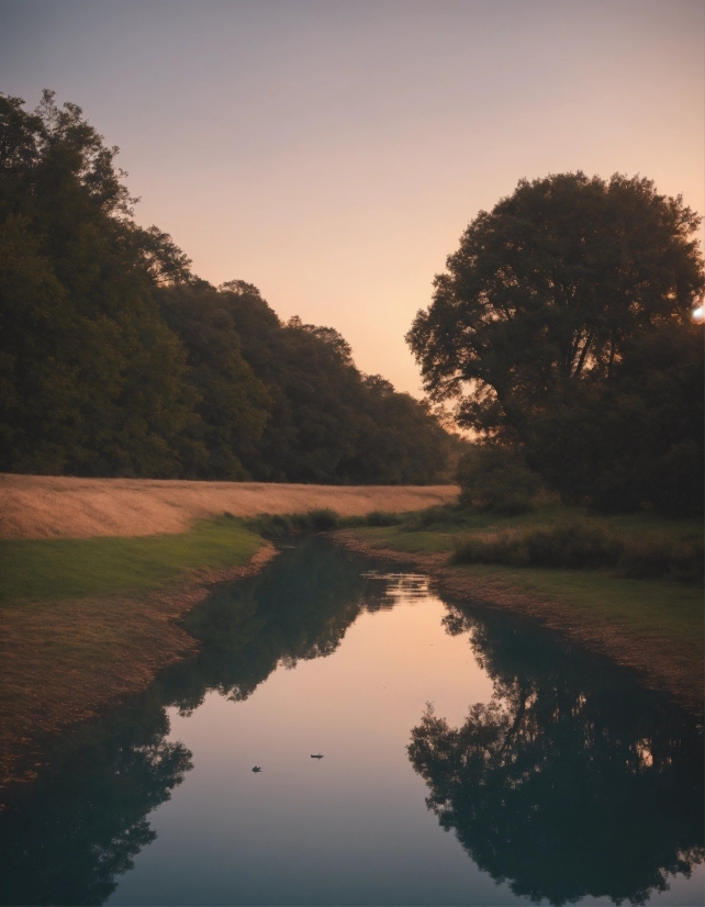 Japandi Style, Water, Plant, Sky, Nature, Natural Landscape