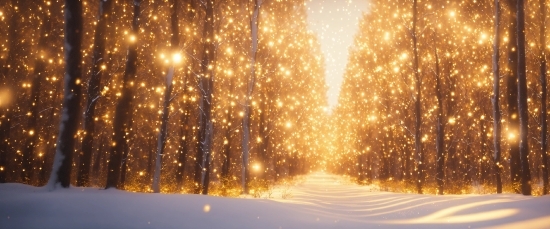 Japanese Graphic Design, Plant, Amber, Snow, Tree, Gold