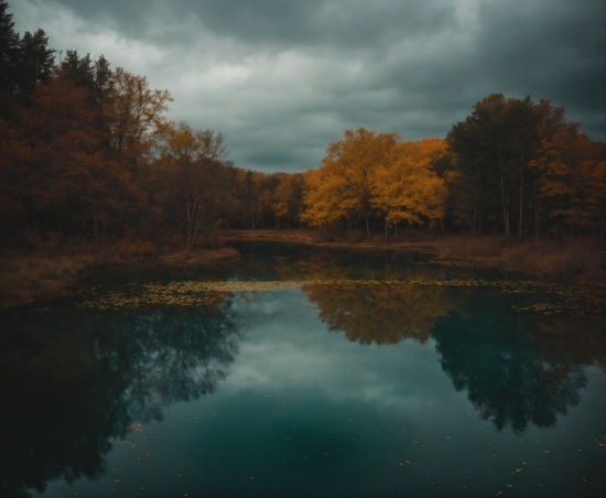 Kintsugi, Cloud, Water, Sky, Plant, Natural Landscape