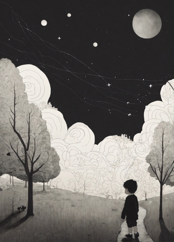 Make Your Own Music Video, Plant, Atmosphere, Sky, World, White