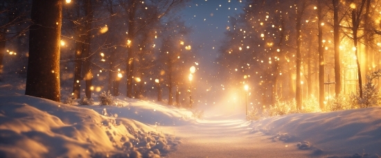 Media Player Video Editor, Cloud, Atmosphere, Snow, Amber, Tree