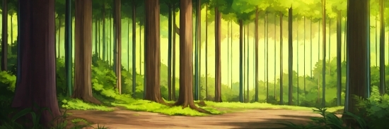 Motion Graphics Video Maker Online, Green, Natural Landscape, Wood, Terrestrial Plant, Trunk