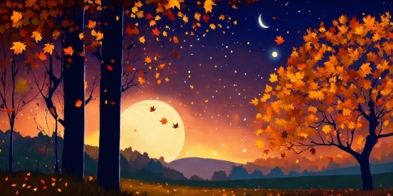 Photo Editor Online Free Image Editing Background Change, Sky, Atmosphere, Daytime, World, Nature
