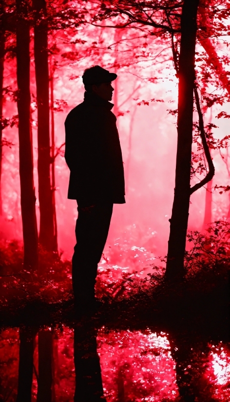 Photo Video Maker Online With Music, Plant, People In Nature, Light, Water, Black