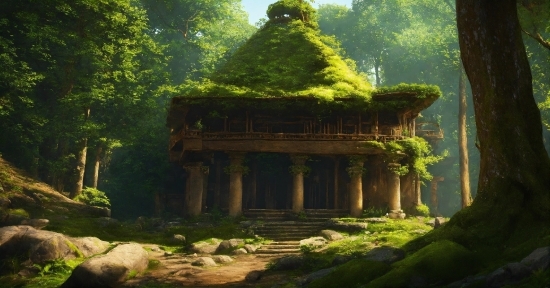 Plant, Natural Landscape, Tree, Wood, Temple, Building