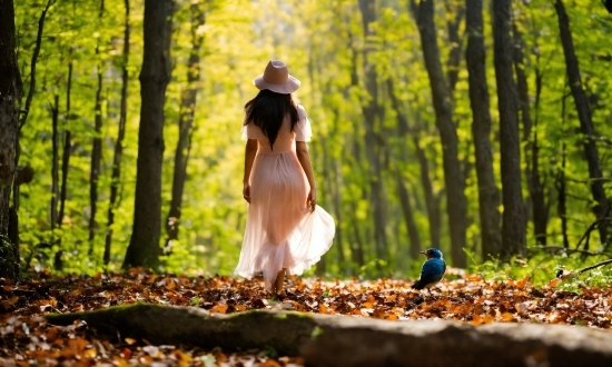 Plant, People In Nature, Wood, Natural Landscape, Hat, Tree