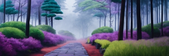 Plant, Sky, Green, Purple, Nature, Tree