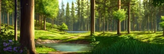 Plant, Water, Green, Ecoregion, Tree, Natural Landscape