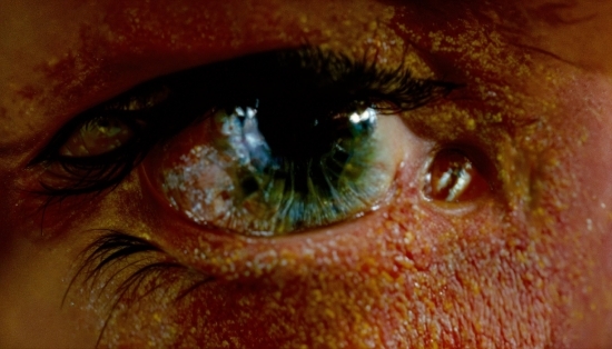 Prints Shop, Brown, Vision Care, Eyelash, Human Body, Iris