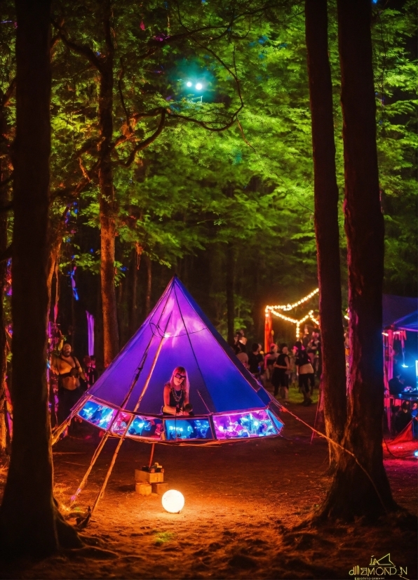 Tent, Light, Green, Natural Environment, Camping, Tree