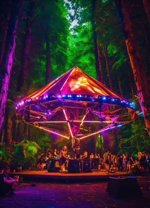 Tent, Light, Purple, Tree, Entertainment, Leisure