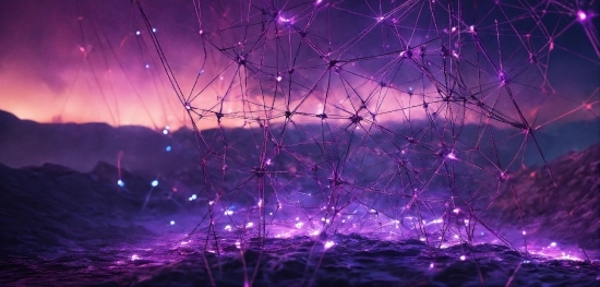 Water, Atmosphere, Sky, Purple, Branch, Electricity