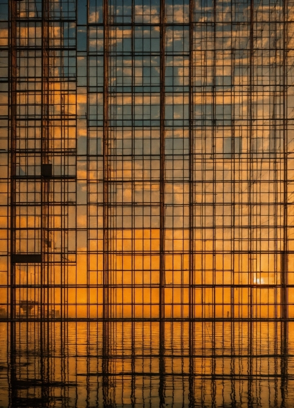 Window, Sky, Amber, Mesh, Wood, Tints And Shades