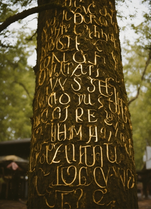 Wood, Branch, Trunk, Grass, Font, Tints And Shades