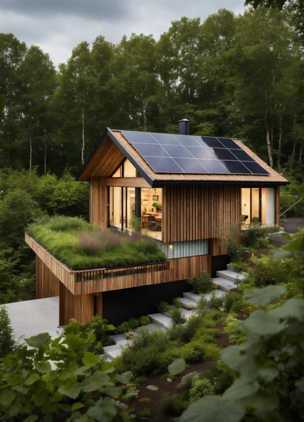 Art For Visual Delight, Plant, Sky, Property, Building, Natural Landscape