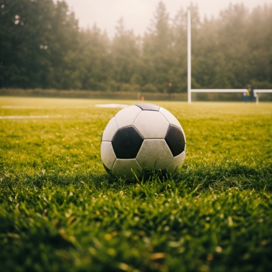 Atmosphere, Daytime, Soccer, Sports Equipment, Football, Ball