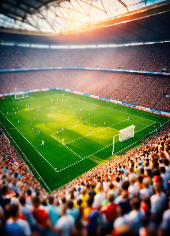 Atmosphere, Field House, World, Light, Grass, Football