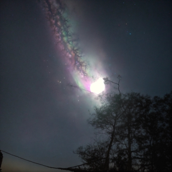 Atmosphere, Sky, Tree, Astronomical Object, Atmospheric Phenomenon, Cloud