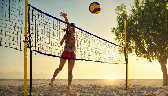Clothing, Volleyball Net, Sky, Sports Equipment, Active Shorts, Volleyball Player