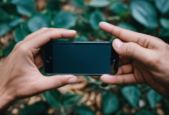 Copyright Free Images Birds, Hand, Green, Finger, Gadget, Gesture