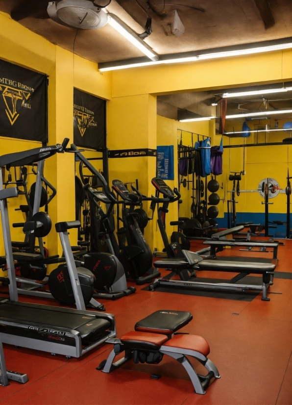 Exercise Machine, Building, Crossfit, Exercise Equipment, Treadmill, Gym