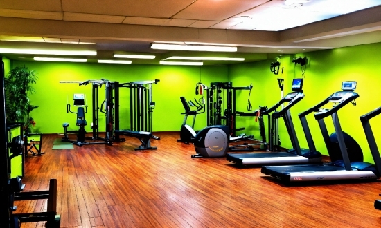 Exercise Machine, Building, Exercise Equipment, Treadmill, Gym, Interior Design