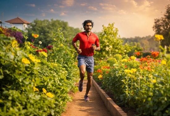 Flower, Plant, Sky, Cloud, People In Nature, Shorts