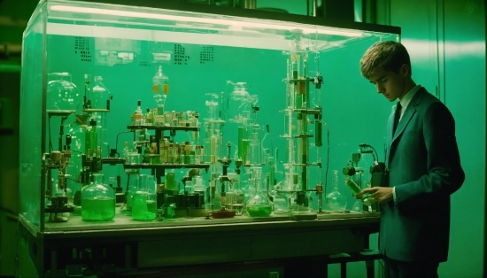 Green, Organism, Barware, Display Case, Glass, Science