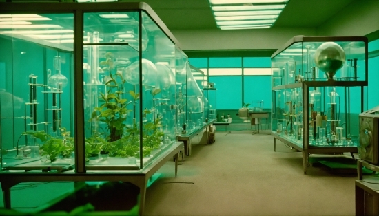 Green, Plant, Fixture, Aqua, Leisure, Glass