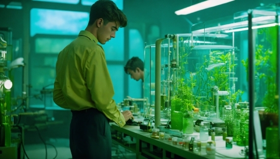 Green, Plant, Organism, Terrestrial Plant, Science, Engineering