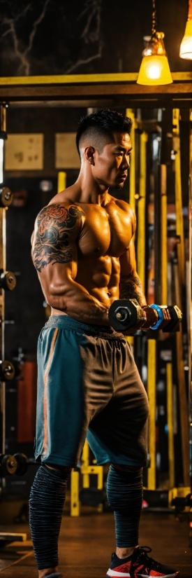 Joint, Bodybuilder, Shoulder, Muscle, Bodybuilding, Strength Athletics