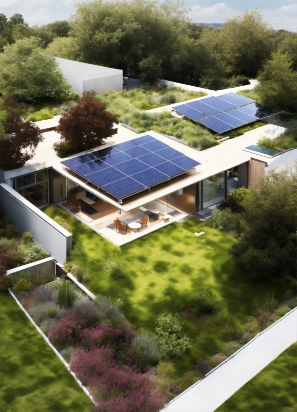 Property, Window, Light, Nature, Plant, Solar Panel