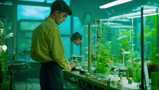 Sexy Stock Photos, Green, Plant, Organism, Terrestrial Plant, Science