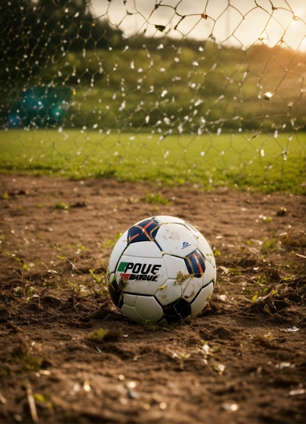 Sports Equipment, Soccer, Football, Ball, Plant, Soccer Ball
