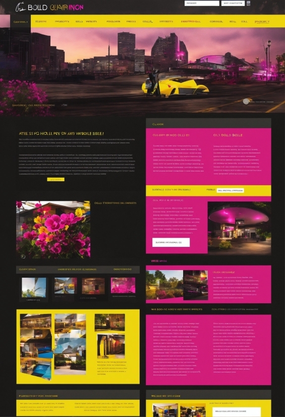 Yellow, Font, Magenta, Material Property, Screenshot, Multimedia